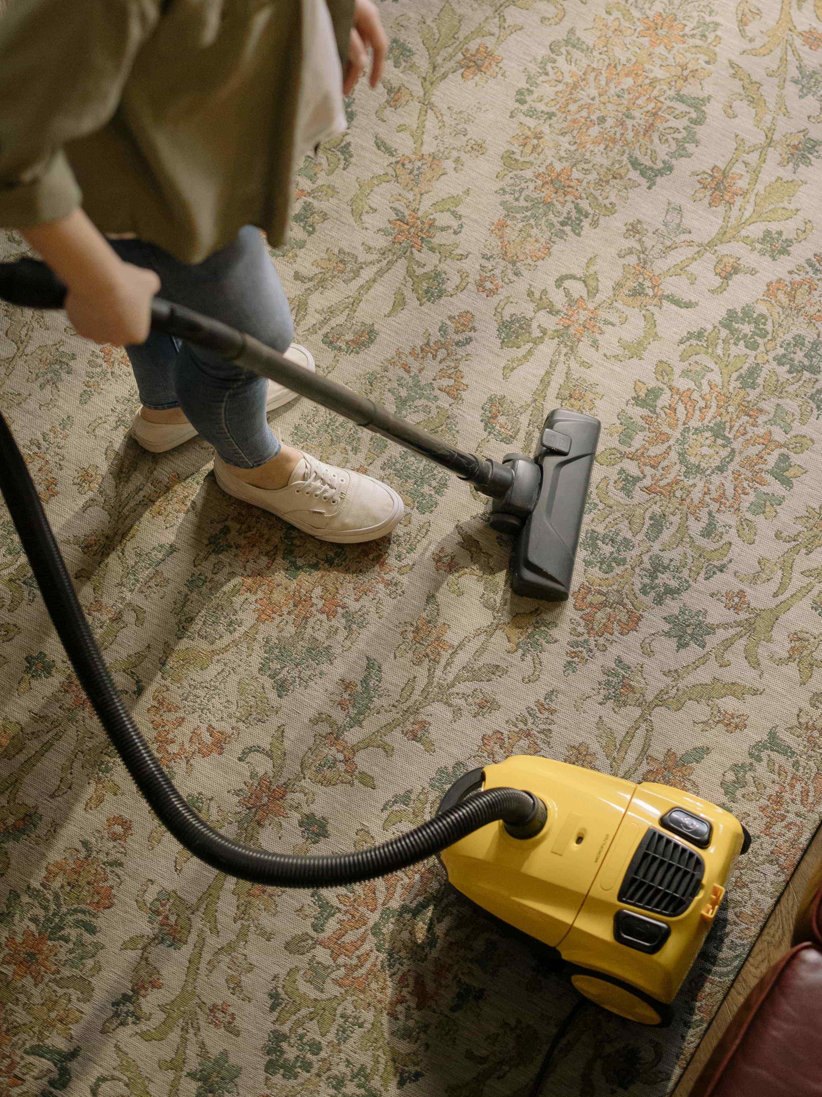 two young lady cleaning